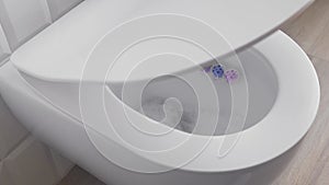 Flush in the toilet with toilet rim deodorizer and a toilet seat with soft close