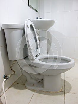 Flush White toilet in white bathroom