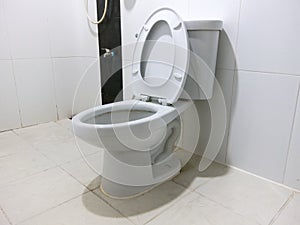 Flush White toilet in white bathroom