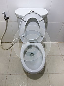 Flush White toilet in white bathroom