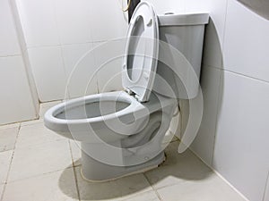 Flush White toilet in white bathroom