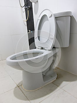 Flush White toilet in white bathroom