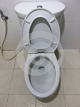 Flush White toilet in white bathroom