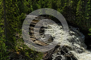 Flushing creek in the Swedish mountains