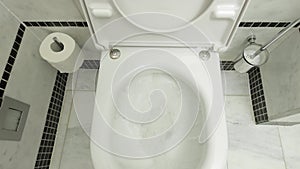 Flushing down the toilet
