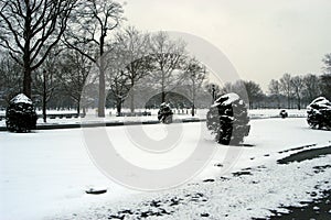 Flushing Meadows Winter