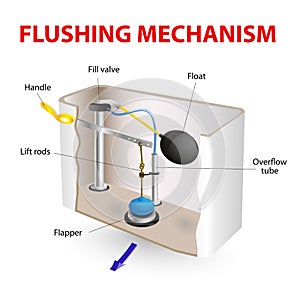 Flushing mechanism Flush toilet