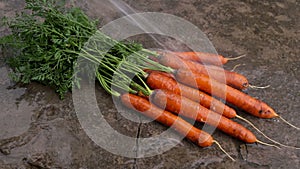 Flushing pollution from harvested carrots by water flow