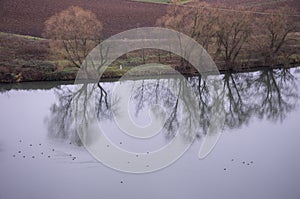 River Landscape With Water Fowl