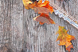 Flute and Fallen Autumn Leaves on Wooden Boards