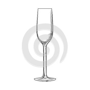 Flute glass. Hand drawn empty champagne glass sketch. Sparkling wine glass