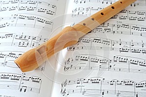 Flute & Notes