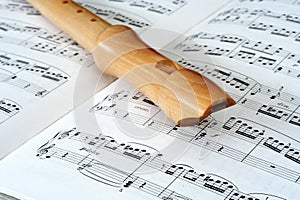 Flute & notes