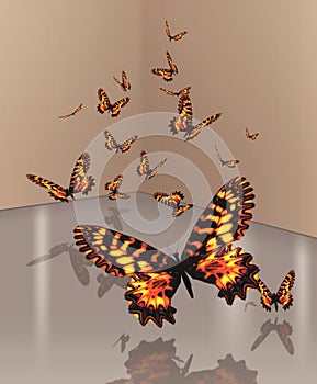 A Flutter Of Orange Butterflies