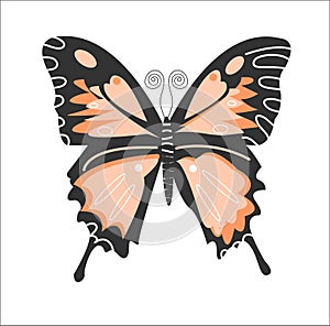 Fluttering butterfly isolated on white background. Vector flat illustration.