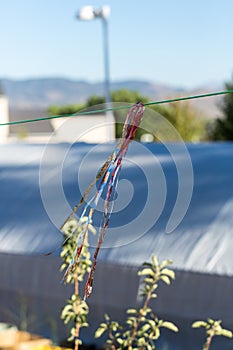 Fluttering robbins to deter birds coming into garden