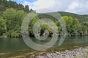 Fluvial beach formed by the river Sil. photo