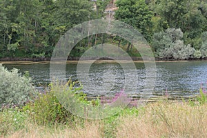 Fluvial beach formed by the river Sil. photo