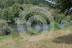 Fluvial beach formed by the river Sil. photo