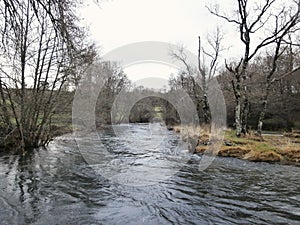 Fluvial beach in river Deza. Municipality of Lalin, region Galicia, Northwest Spain.