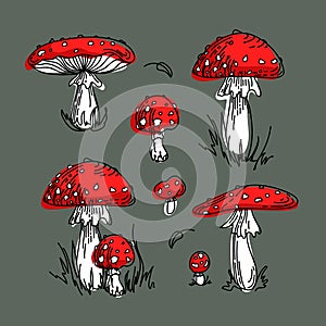 Fly agaric, Amanita, non-edible poisonous mushroom. Bright illustration in cartoon style. In red and green colors