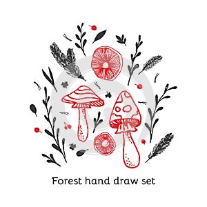Fly agaric and cranberries, spruse brunch hand drawn line art vector set. Amanita muscaria vector set for printing, fabric,