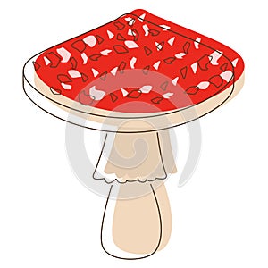 Fly agaric mushroom lineart. Edible Organic mushrooms. Truffle brown cap. Forest wild mushrooms types