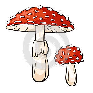 Fly agaric mushroom with red cap and white dots. Amanita muscaria line and cartoon style. Forest poisonous mushroom