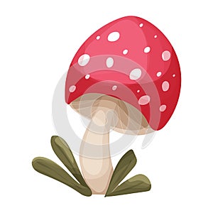 Fly agaric mushroom with red spotted cap, grass forest poisonous plant in cartoon style isolated on white background