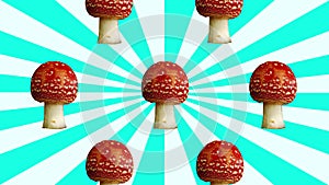 Fly agaric mushroom stop motion animation rainbow color sunburst background. Mushroomcore viral trend video social media