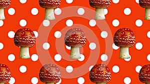 Fly agaric mushroom stop motion graphic animation rainbow color background Mushroomcore viral trend video social media