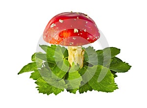 Fly agaric mushrooms among leaves