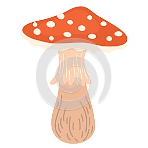 Fly agaric. Poisonous mushroom. Amanita Muscaria. Vector illustration