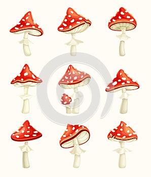 Fly agaric poisonous mushrooms set . Amanita toadstools with red spotted cap cartoon vector illustration