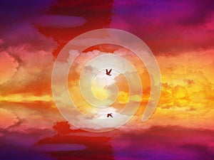 fly away home and river reflection over sea