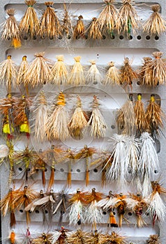 Fly Box Detail Dry Flies