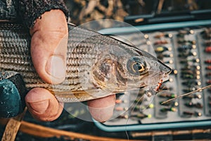 Fly box and fishing tackle on the river bank