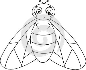 fly coloring outline