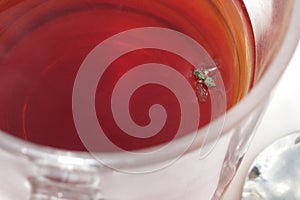 Fly in drink