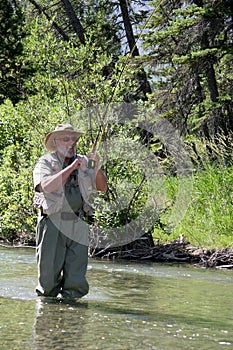 Fly Fisher