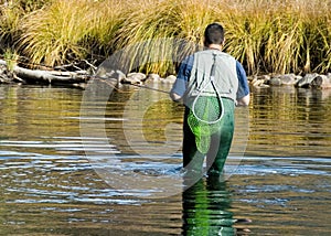 Fly Fisherman