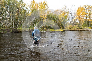 Fly fisherman