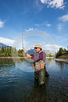 Fly Fisherman