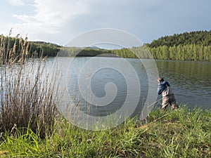 Fly Fisherman angler standing on shore of calm water of forest lake, fish pond Kunraticky rybnik with birch and spruce