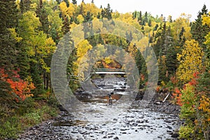 Fly fishermen fish trout on the Brule River in northern Minnesota on a beautiful fall day