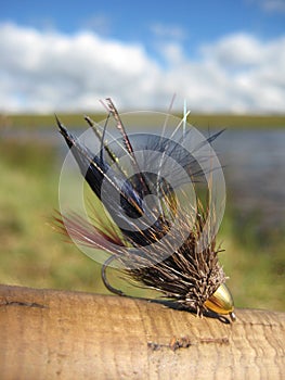 Fly fishing