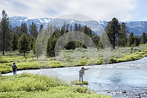 Fly Fishing photo