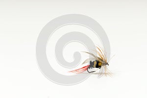 Fly fishing fly, bee imitation for trout or salmon on white back