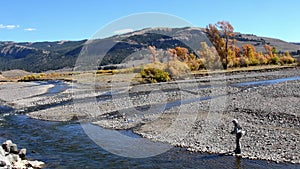 Fly fishing the Lamar River