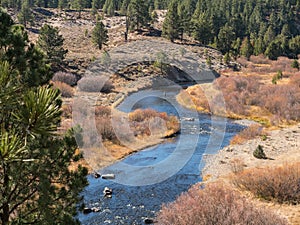 Fly fishing on the Little Truckee River photo